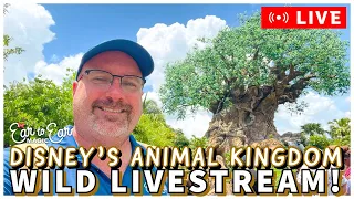 🔴 LIVE - Disney’s Animal Kingdom Livestream Pt2 Test Stream - 7/11