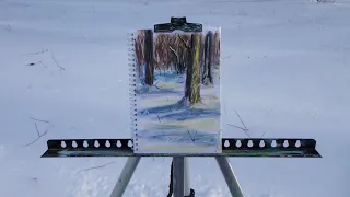 ❄️ Наедине с собой ✨ Пленэр у зимнего леса сухой пастелью ☃️