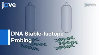 DNA Stable-Isotope Probing (DNA-SIP) l Protocol Preview