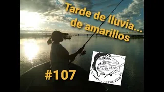 #107 TARDE DE LLUVIA  DE AMARILLOS
