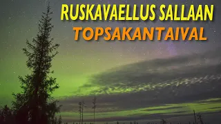 Ruskavaellus Sallaan - Topsakantaival