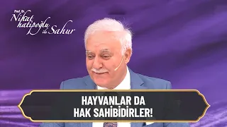 Hayvanlara yapılan haksızlıkların günahı nedir? - Nihat Hatipoğlu ile Sahur 21. Bölüm