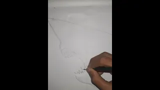 como dibujar un tiburón