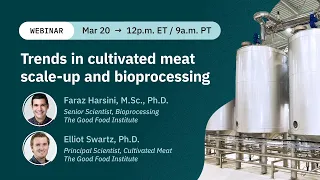 Trends in cultivated meat scale-up and bioprocessing