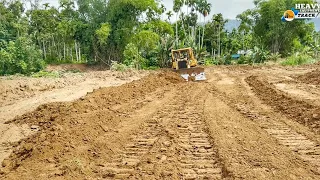 Excellent Work CAT D6R XL Bulldozer Operator Turns Land into Rice Fields