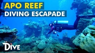 APO REEF: Diving Escapade at  World's 2nd Largest Contiguous Reef | The Dive - Full Episode