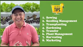 Complete Guide to Hydroponic Lettuce Farming (Kratky & NFT) with english subtitle | Nars Adriano