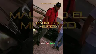 Mauricio El Mestizo - Al Contrario (vídeo oficial disponible ya!) #corridosnewyorkeños #corridos