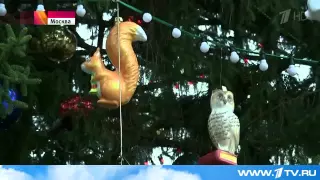 В Москве на Соборной площади украсили новогоднюю ёлку   Первый канал