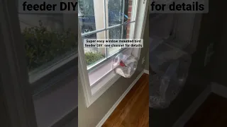 See through window mounted bird feeder DIY