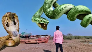 Big Snake Attack On Boy in Jungle in Real Life  | Anaconda Snake Attack In Real Life
