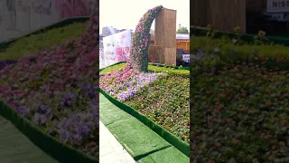 qatar souq waqif flower show