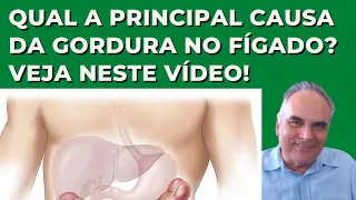 Qual a principal causa de gordura no fígado? Descubra neste vídeo!