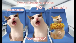 viaje en a Japón (meme de gatos) día de vacaciones completo