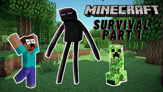 Surviving in Minecraft | Playing first time | Minecraft #01 | Dexter