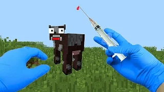 REALISTIC MINECRAFT - COW SURGERY