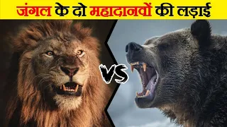 When The Lion Meets the Grizzly Bear | क्या होगा जब दो महादानव करेंगे एक दूसरे का शिकार