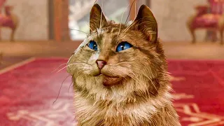 Whoever voiced this cat needs to get a raise. - Baldur's Gate 3