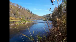 Моя душа настроена на осень...  - В музыке Сергея Чекалина "Летний день".