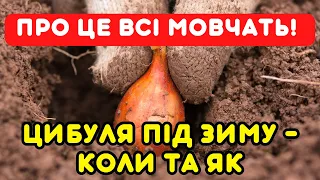 Саджай озиму цибулю СВОЄЧАСНО І ПРАВИЛЬНО! Дати посадки цибулі під зиму 2023