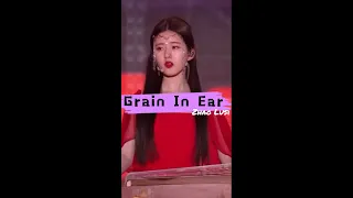 Grain in ear 芒种 | ZJSTV 2021 countdown | Zhao Lusi