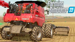 A COLHEITA GIGANTE | Farming Simulator 22 | Estância São Carlos - Episódio 56