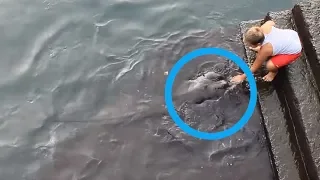 Dieser Junge greift ins Wasser - plötzlich erscheint ein unheimliches Tier...