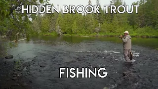 Brook Trout in Hidden Streams & Lakes