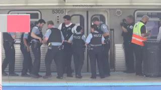 Fatal Stabbing On CTA Red Line