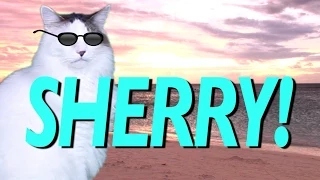 HAPPY BIRTHDAY SHERRY! - EPIC CAT Happy Birthday Song