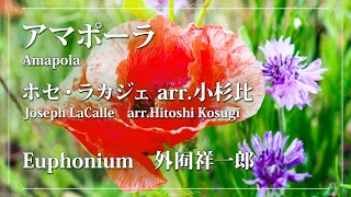 アマポーラ [ユーフォニアム独奏：外囿祥一郎] / ホセ・ラカジェ arr.小杉比 (Amapola / Joseph LaCalle arr.Hitoshi Kosugi)【ミュゼ・ダール吹奏楽団】