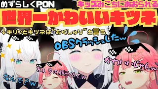 【ホロライブ】めずらしくPON！世界一かわいいキツネがキッズみこちにあおられる【さくらみこ／白上フブキ／尾丸ポルカ／フブみこさん／鷹／ホロライブ】