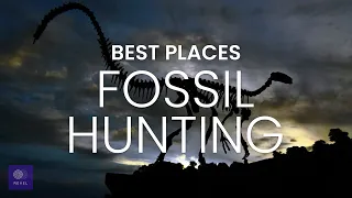 Fossil Hunting | Best Places Fossil Hunting Trip | Fossil Trip | Best Places to Find Fossils