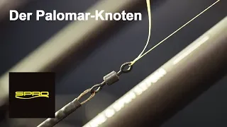 SPRO Know-how - Der Palomar-Knoten / Ein Knoten für Wirbel und Stahlvorfächer