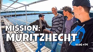 METERHECHT auf der Müritz? | Angeln mit Norman Tramnitz | Janas 1. Hecht in Deutschland | Vlog #74