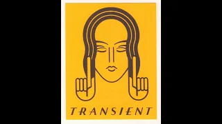 V.A. - Transient Vol. 4 (Full Mix)