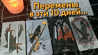 Что изменится в Вашей жизни в ближайшие 10 дней ❗️ Таро прогноз на судьбу