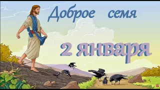 2 января  "Доброе семя",  аудиокнига-календарь на каждый день