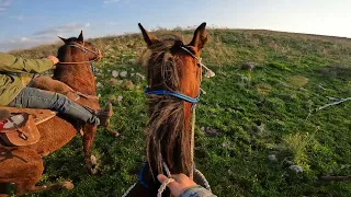 POV HORSE RIDING - GOPRO HERO 10