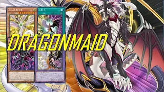 [NEW] DRAGONMAID deck Apr.2024 | Post Infinite Forbidden