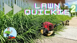 Long Grass Nature Strip / Lawn Quickie 2