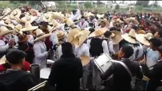 BANDA ORQUESTA RENOVACION DELECTA