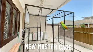 Allumdillah New master cage ban gaya 🤩