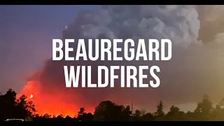 10,000-acre wildfire prompts evacuations in Beauregard Parish