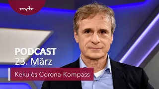 #345: Lösten Marderhunde Corona aus? | Podcast Kekulés Corona-Kompass | MDR