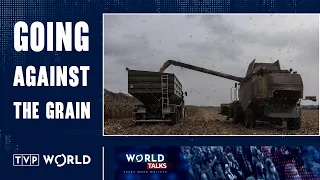 Taxing Belarusian and Russian grain | Pavlo Kukhta & Jock Mendoza Wilson