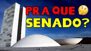 Pra que serve um Senador?