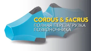 Cordus&Sacrus — полная «перезагрузка» позвоночника: избавление от боли, восстановление подвижности.