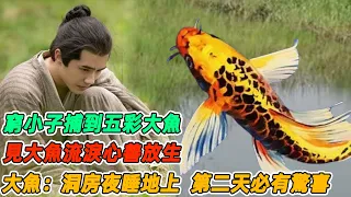 民間故事：窮小子捕到五彩大魚，見大魚流淚心善放生，大魚：洞房夜睡地上，第二天必有驚喜