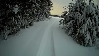 ПРИВАДА НА ЛИСУ ЗАРАБОТАЛА / ОХОТА НА ЛИС КАПКАНАМИ.